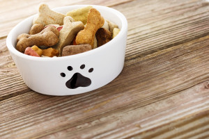 Why dog food is better than human food